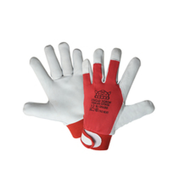Rękawica ocieplana skórzana z rzepem Kalmar Winter Nordic Gloves